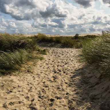 Zu sehen ist die Wanderdüne Råbjerg Mile in Dänemark