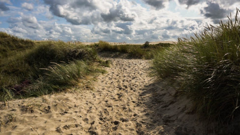 Zu sehen ist die Wanderdüne Råbjerg Mile in Dänemark