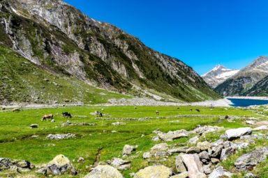 Blick auf den Zillergrund Stausee