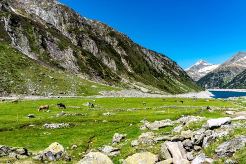 Blick auf den Zillergrund Stausee